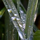 Waterdrops