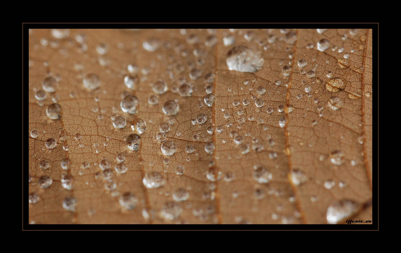 Waterdrops