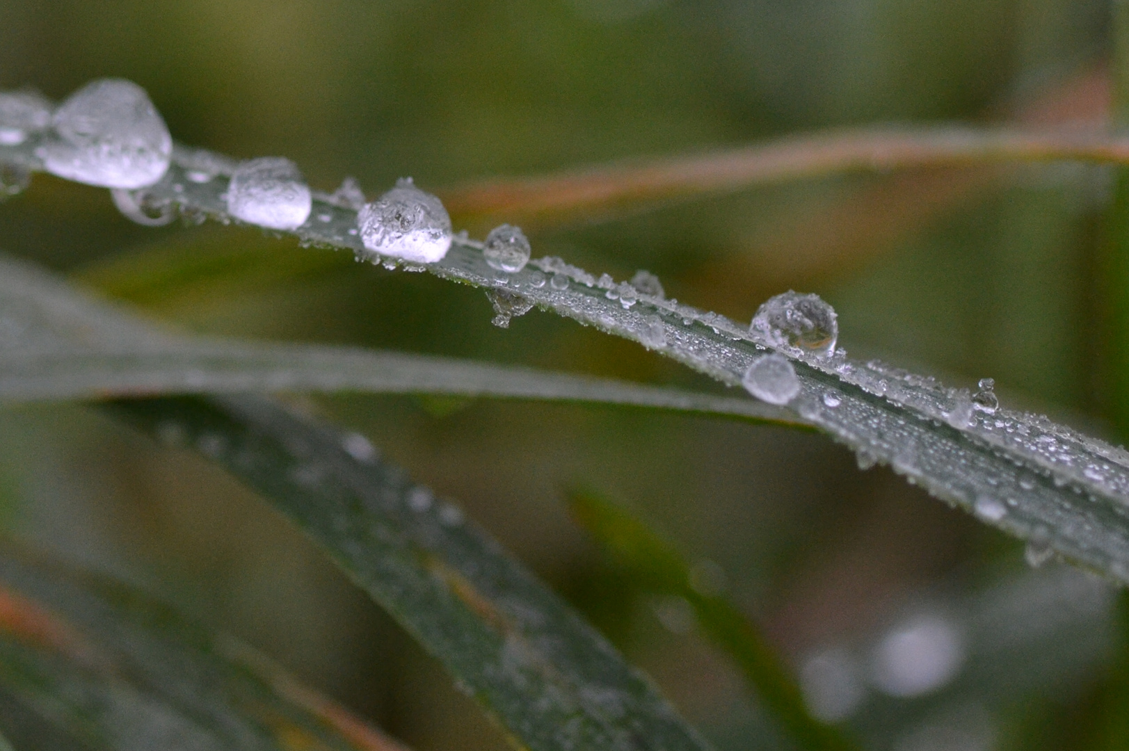 Waterdrops