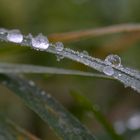 Waterdrops