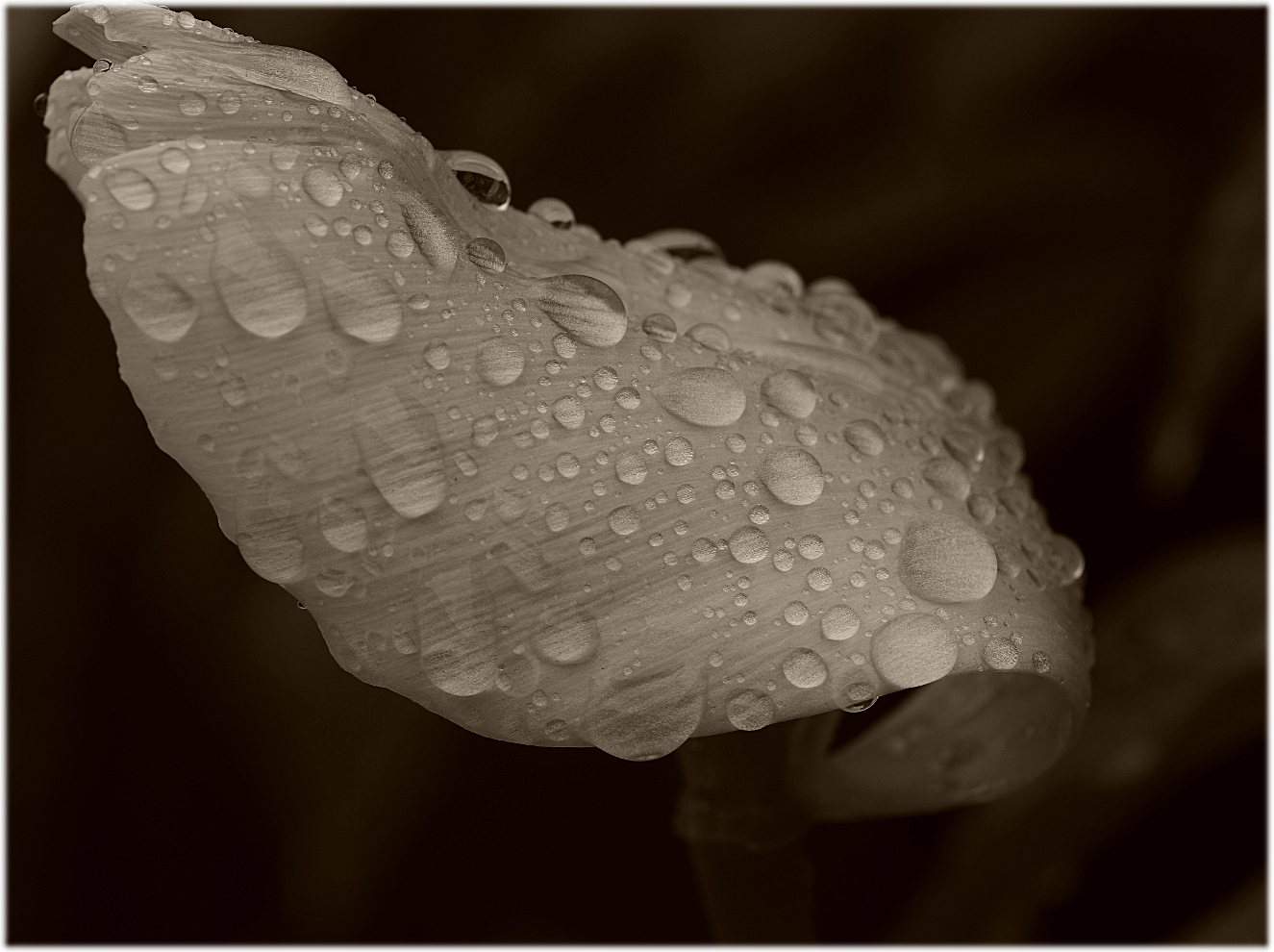 ...water_drops...