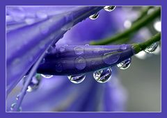 waterdrops