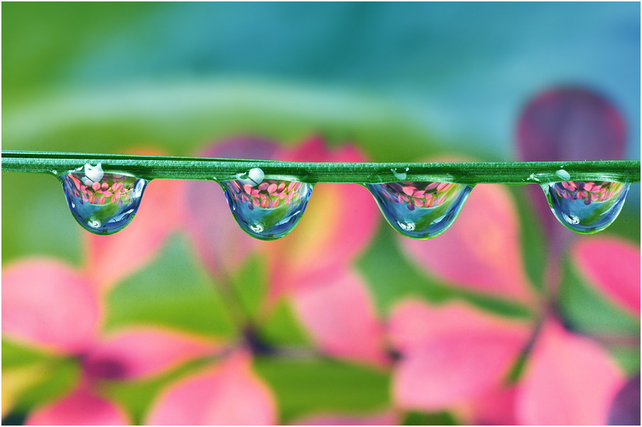 Waterdrops