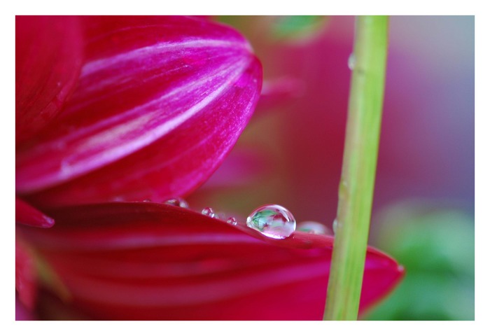 waterdrops