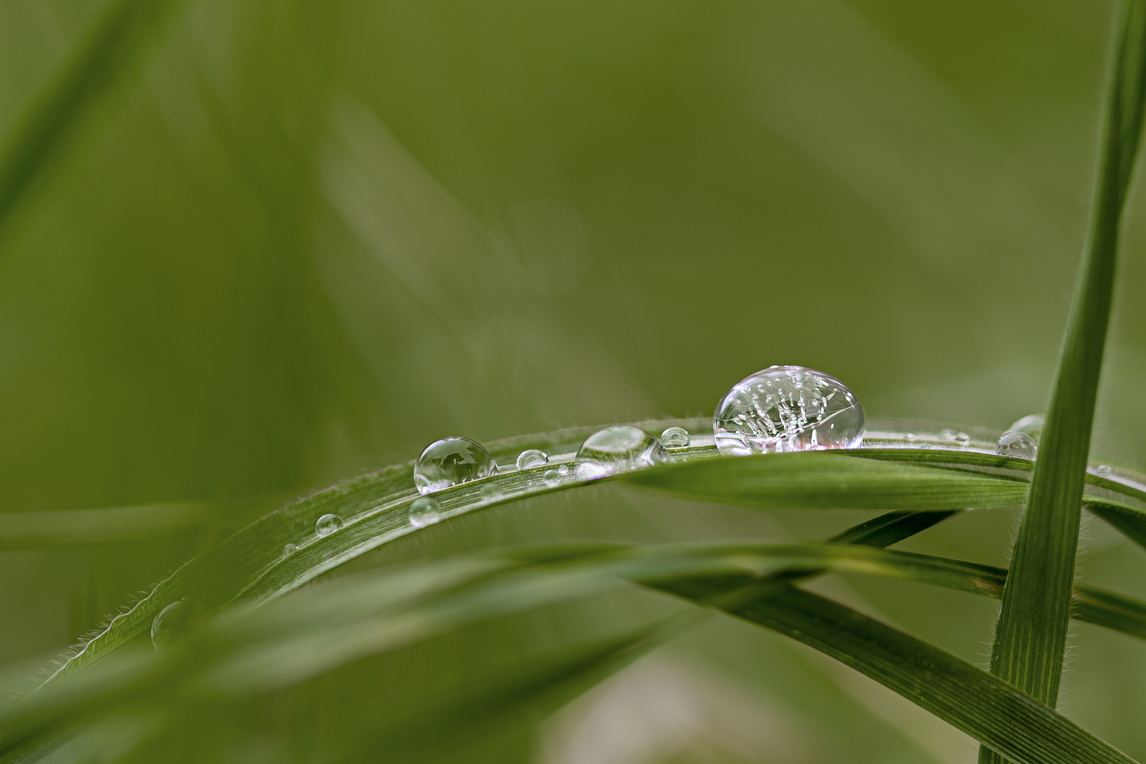 Waterdrops