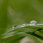 Waterdrops