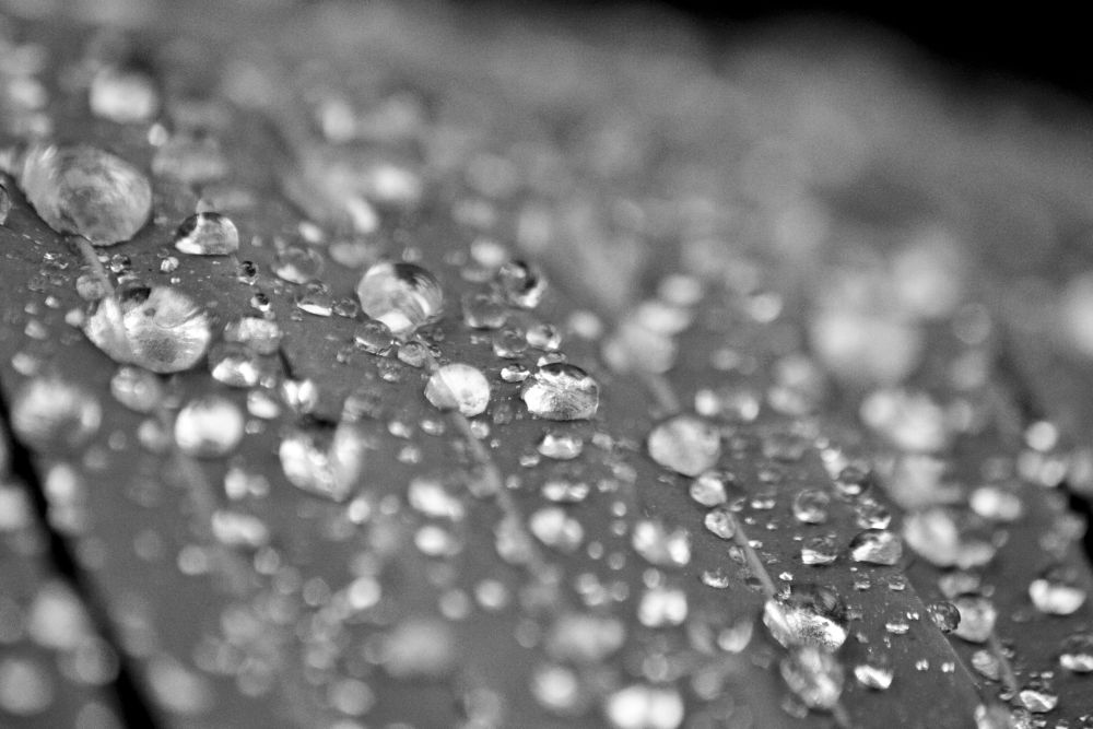 waterdrops