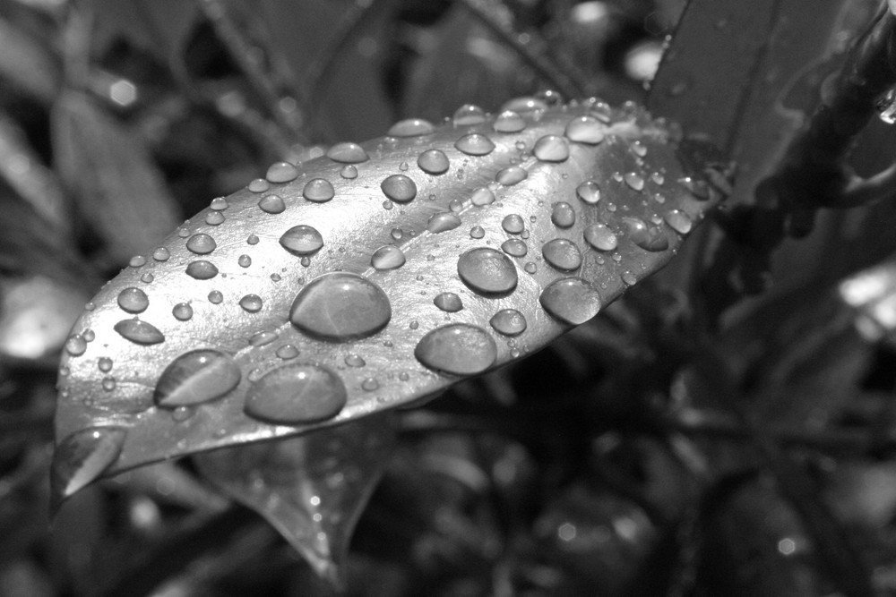 Waterdrops....