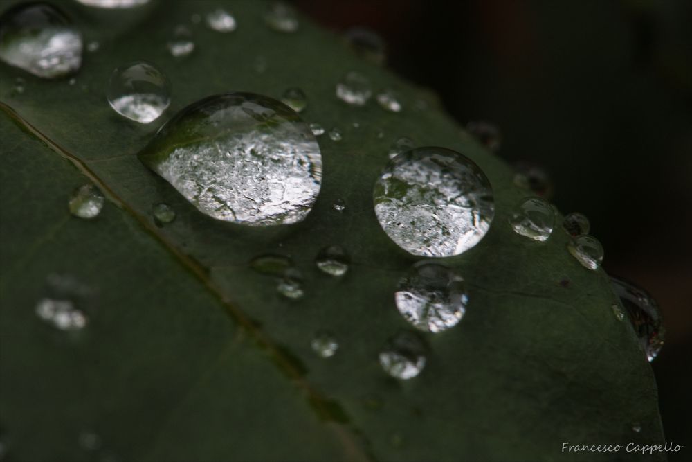 Waterdrops