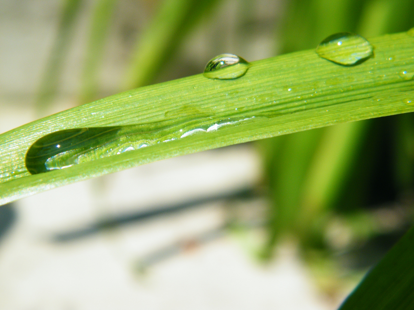 Waterdrops