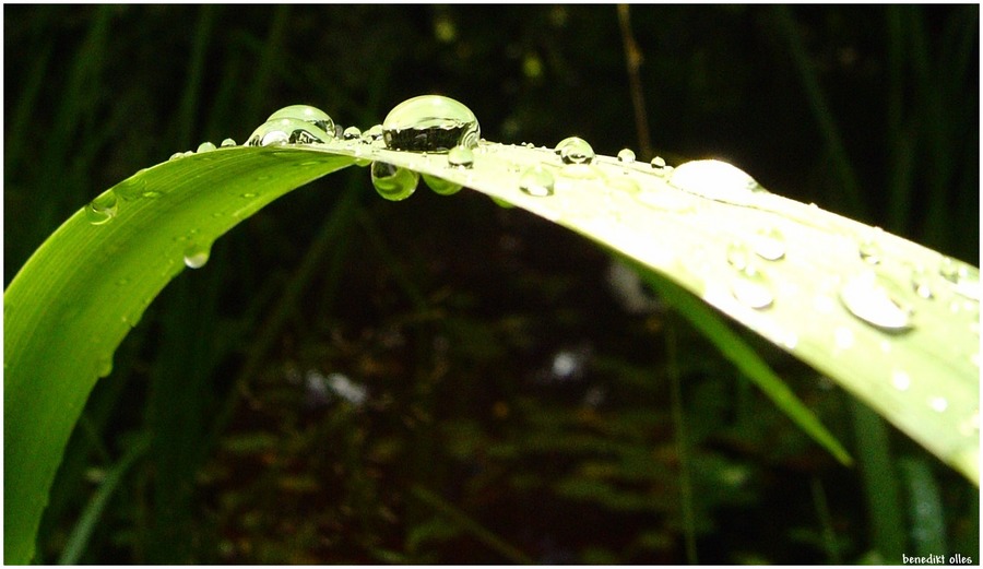 waterdrops