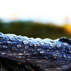 Waterdrops