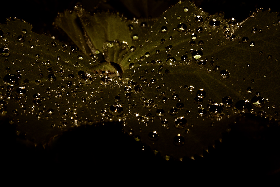 Waterdrops