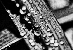 ... waterdrops 