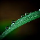 waterdrops falling down