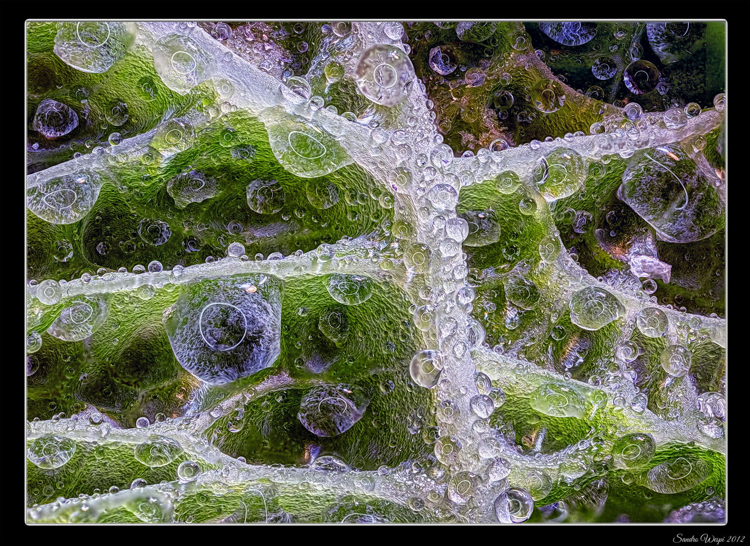 Waterdrops HDR 2013