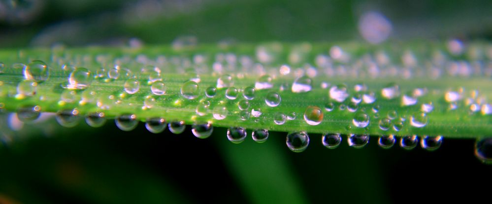 Waterdrops III