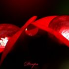 Waterdrops in Red