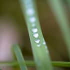 Waterdrops on a leaf