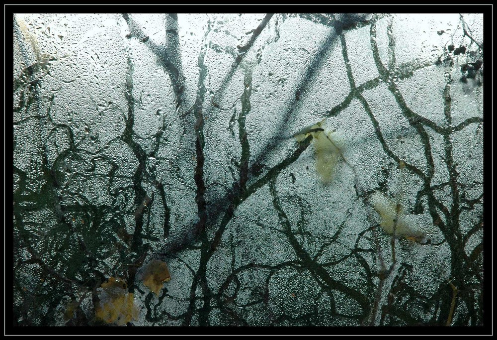 waterdrops on glass