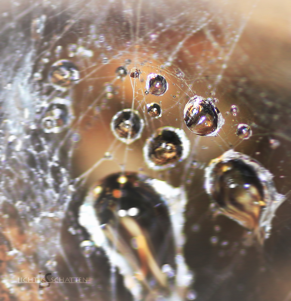 Waterdrops & Spiderwebs