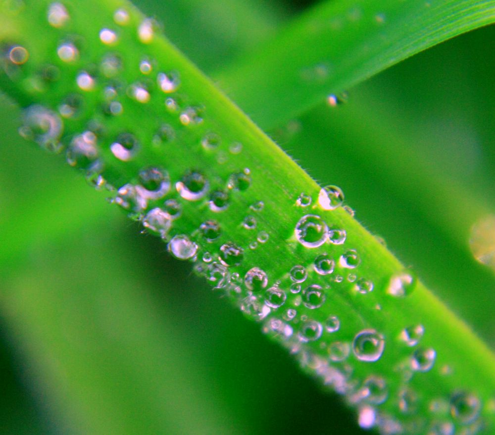 Waterdrops VI