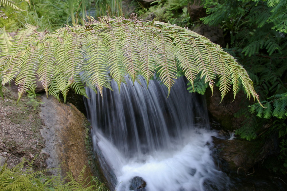 Waterfall