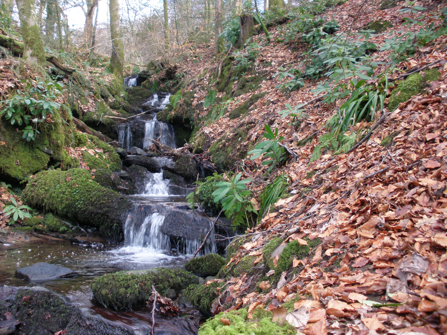 Waterfall at Fairyfalls - Balloch Country Park