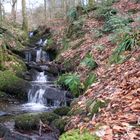 Waterfall at Fairyfalls - Balloch Country Park