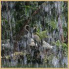 waterfall at monte palace gardens madeira