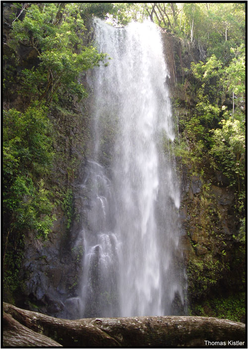 Waterfall at the Wailuariver Kauai'i Hawai'i