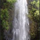 Waterfall at the Wailuariver Kauai'i Hawai'i