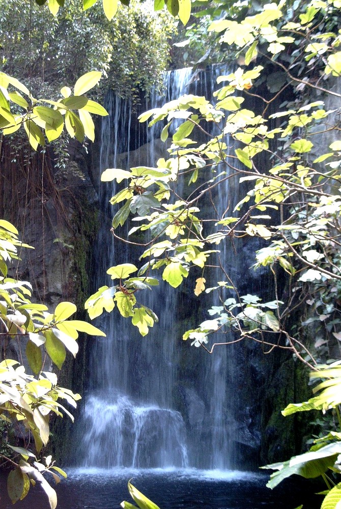 Waterfall