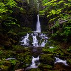Waterfall @ Fundy Nationalpark, New Brunswick, Canada