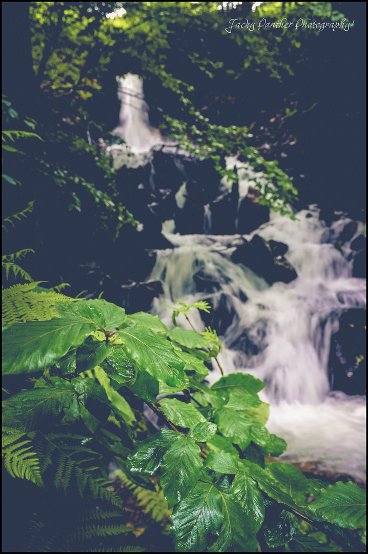 Waterfall in Blackforest