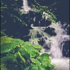 Waterfall in Blackforest