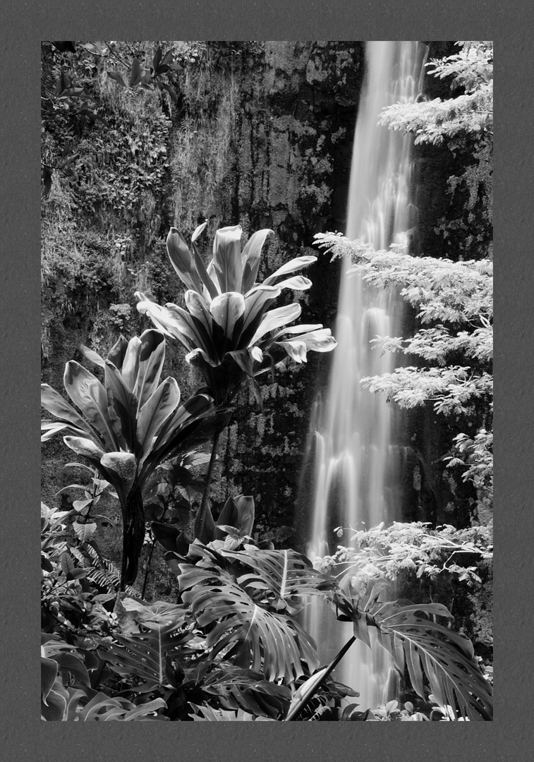 Waterfall in Hawaii