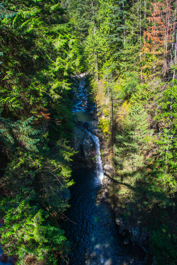 Waterfall in Lynn Canyon, Vancouver