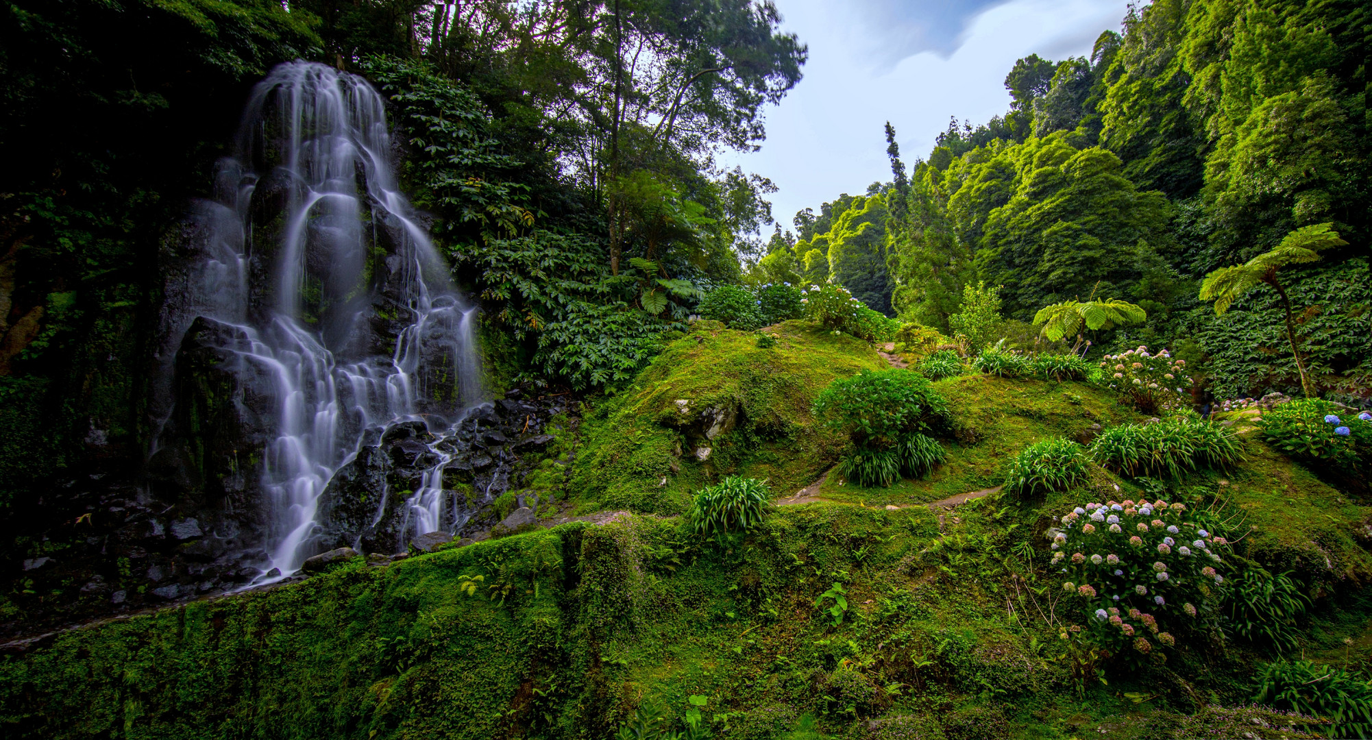 Waterfall in Paradise