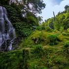 Waterfall in Paradise