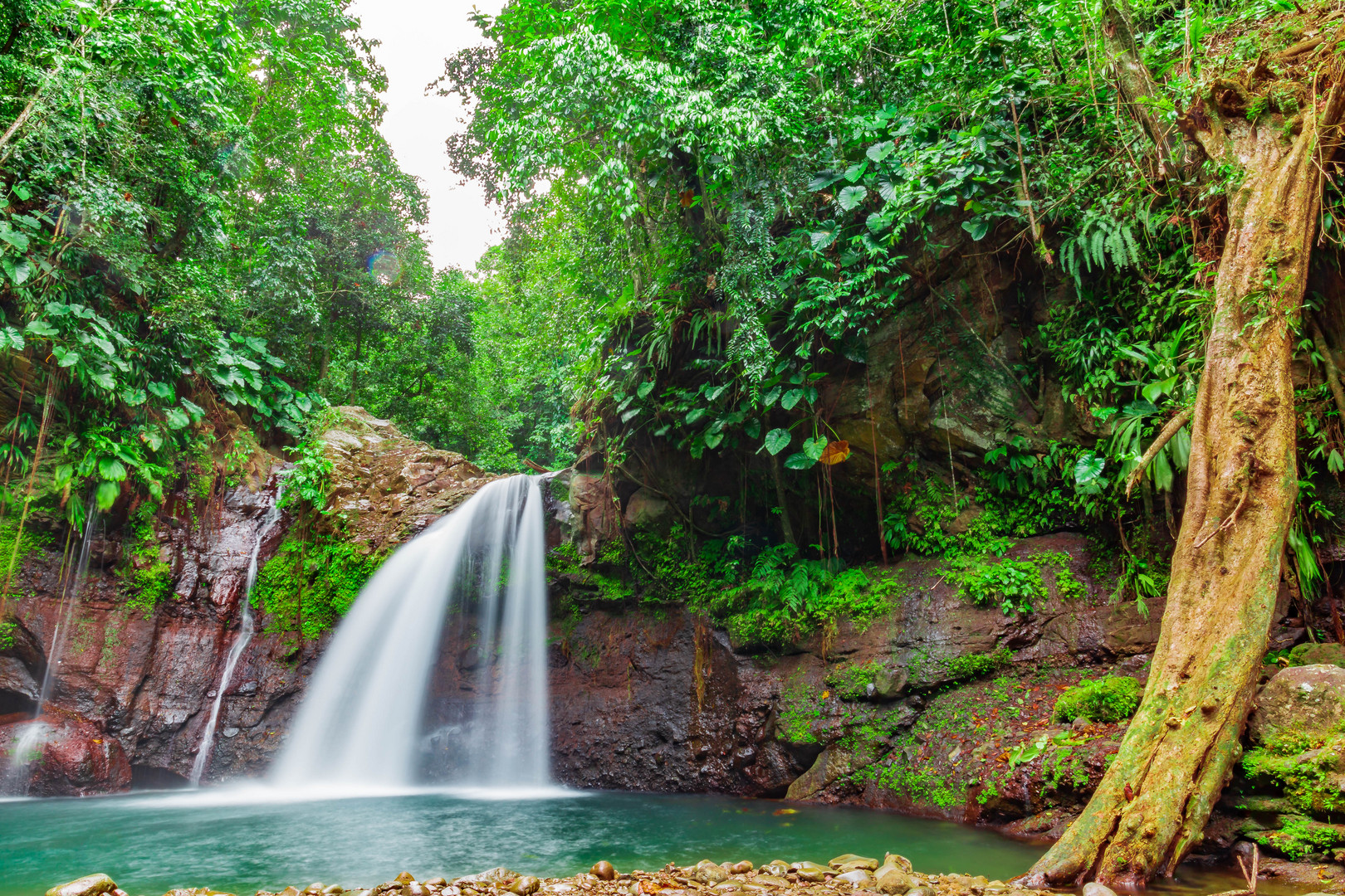 Waterfall in the caribbean rainforest