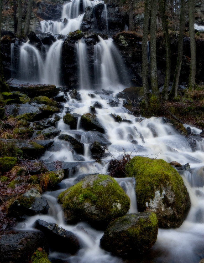 Waterfall in the forest