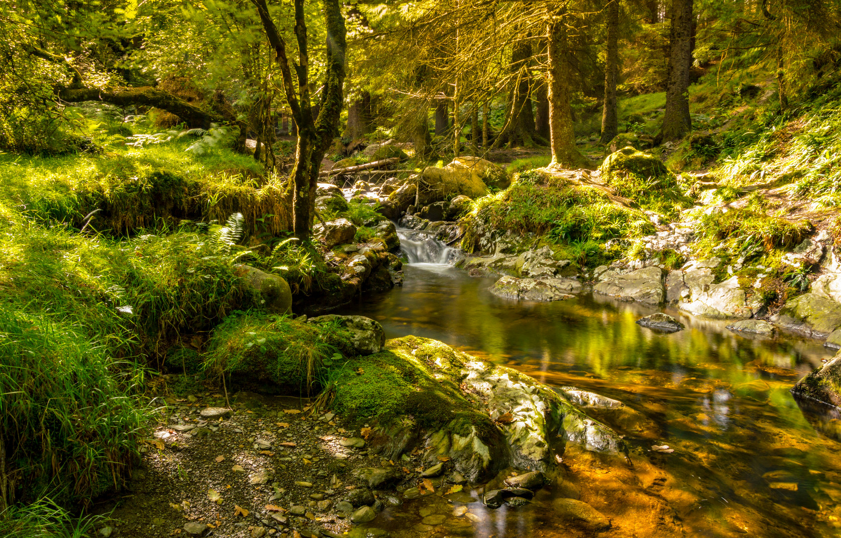 Waterfall in the forrest in Wicklow Mountains