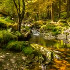 Waterfall in the forrest in Wicklow Mountains