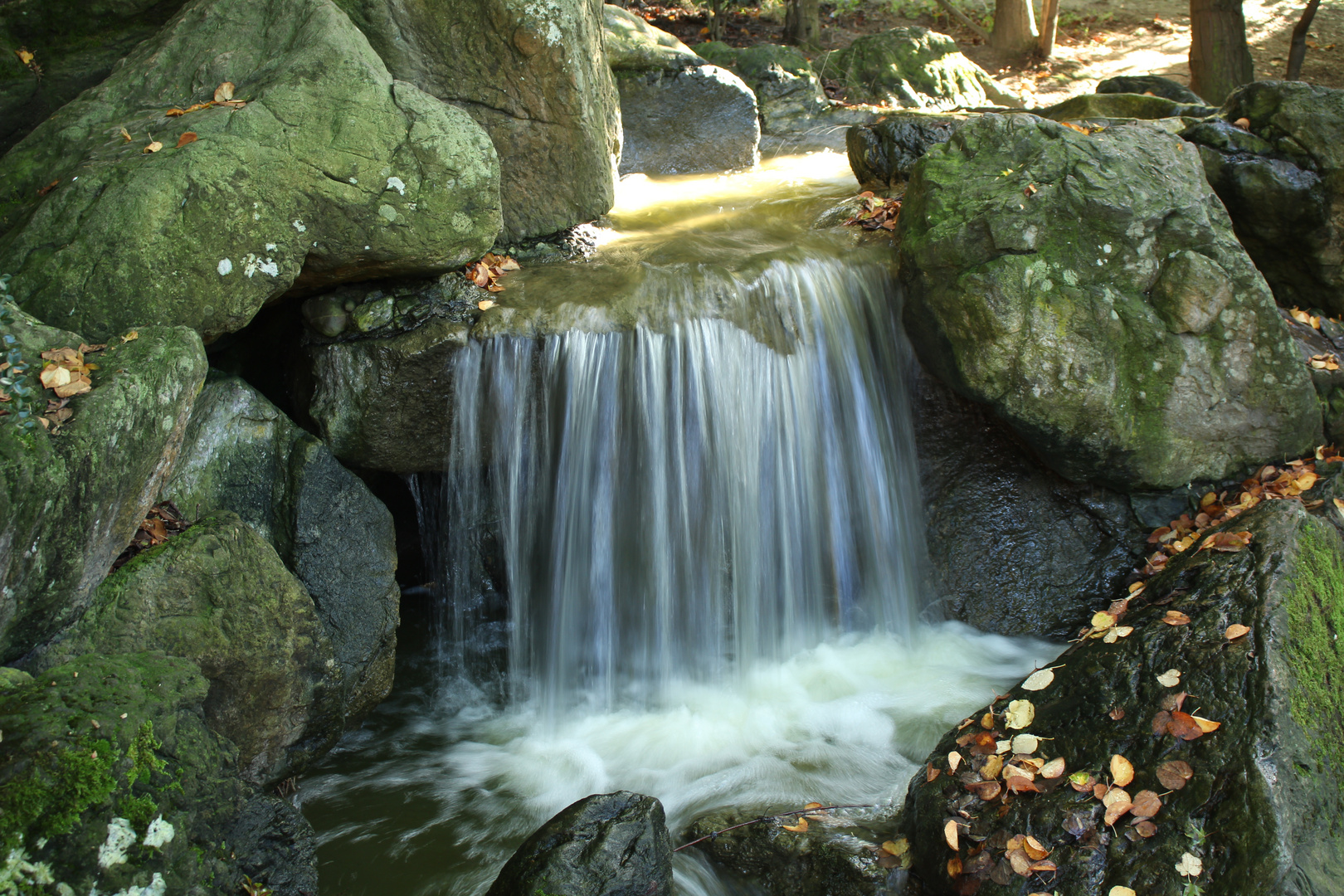 Waterfall in the Japanese garden.