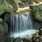 Waterfall in the Japanese garden.