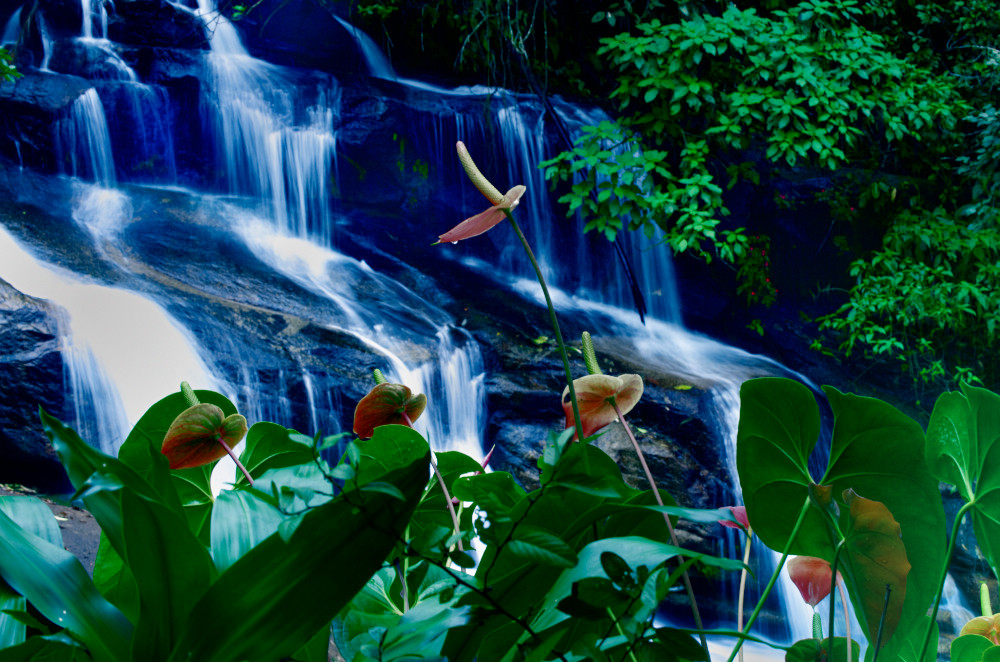 Waterfall in the Mata Atlantica/Brazil