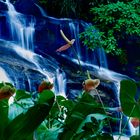 Waterfall in the Mata Atlantica/Brazil