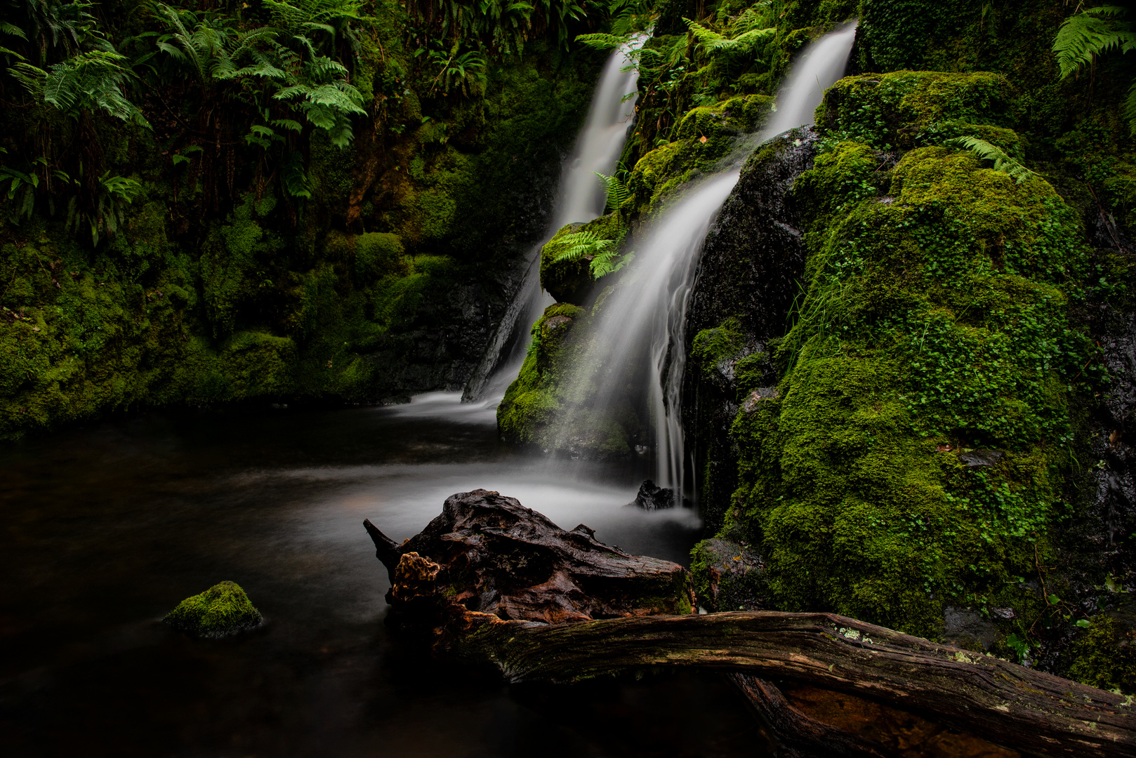 Waterfall in the rainforest