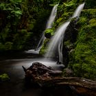 Waterfall in the rainforest